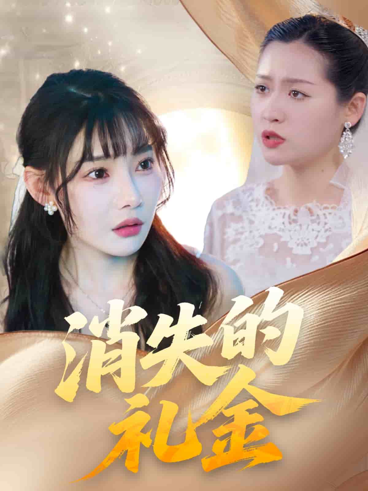 消失的礼金 第1集