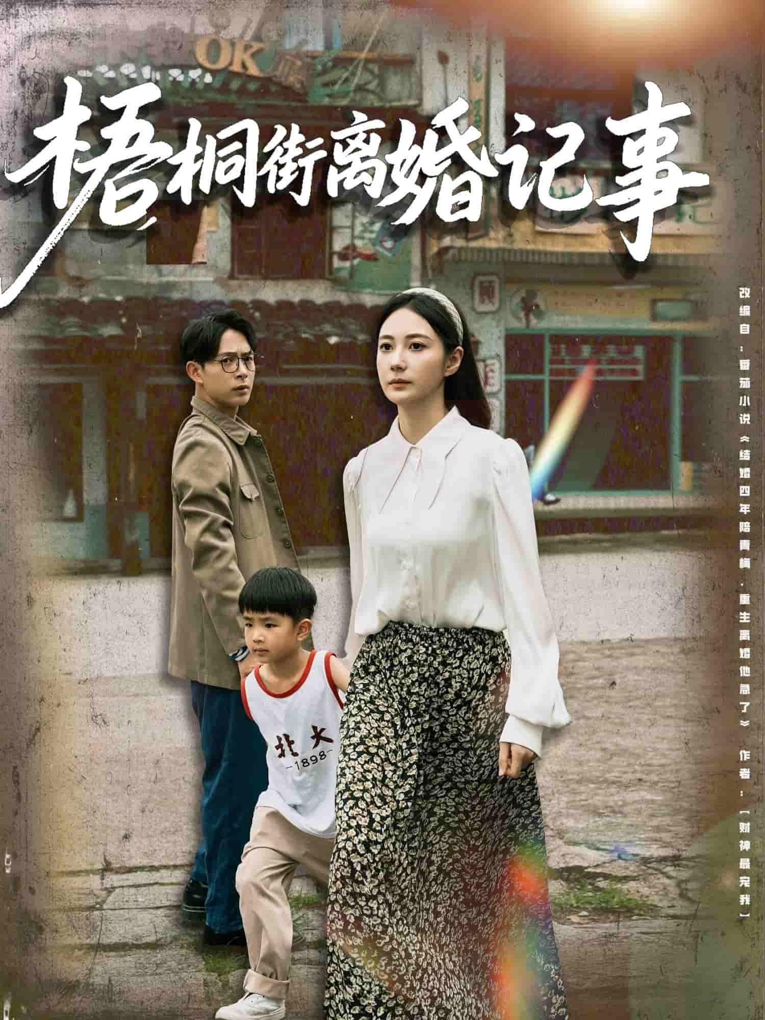 梧桐街离婚记事 第1集