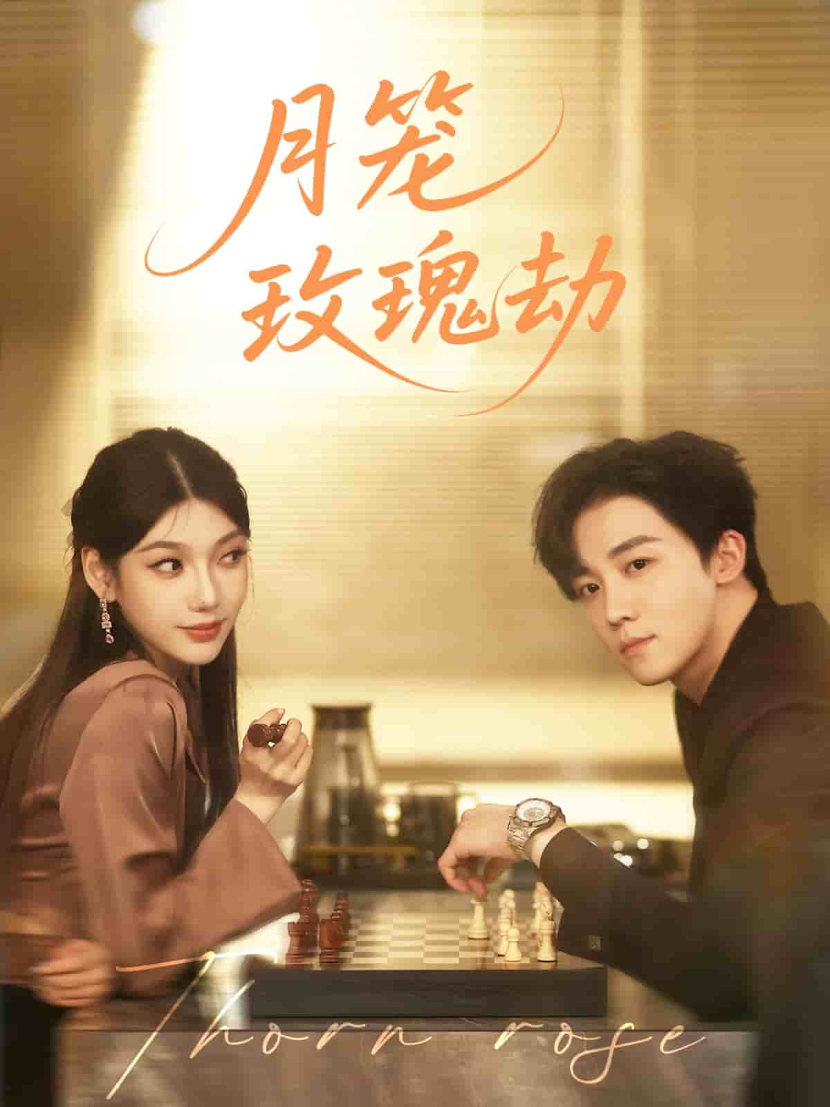 月笼玫瑰劫 第11集