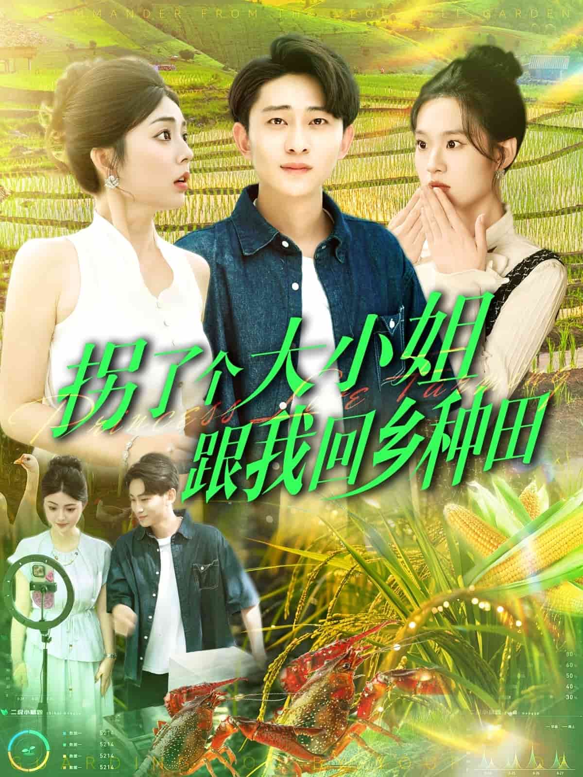 拐了个大小姐跟我回乡种田 第1集