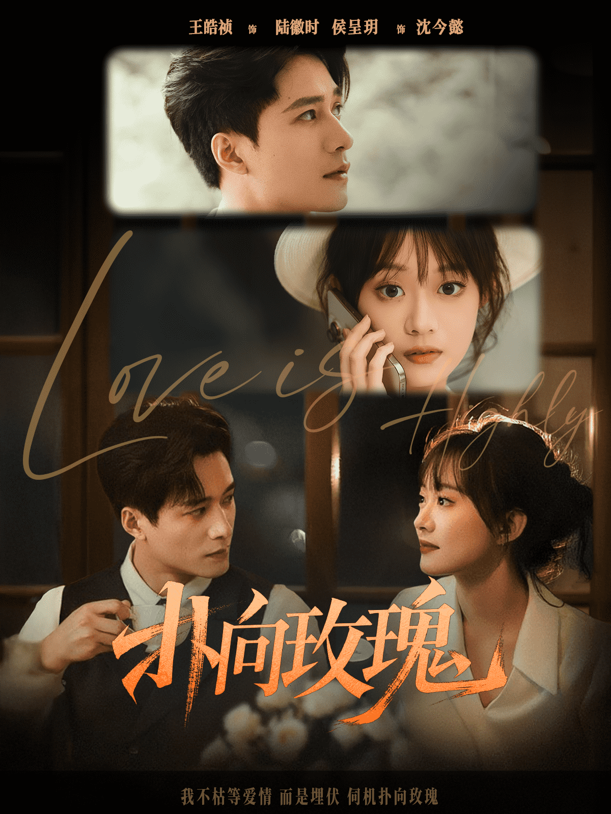 扑向玫瑰 第5集