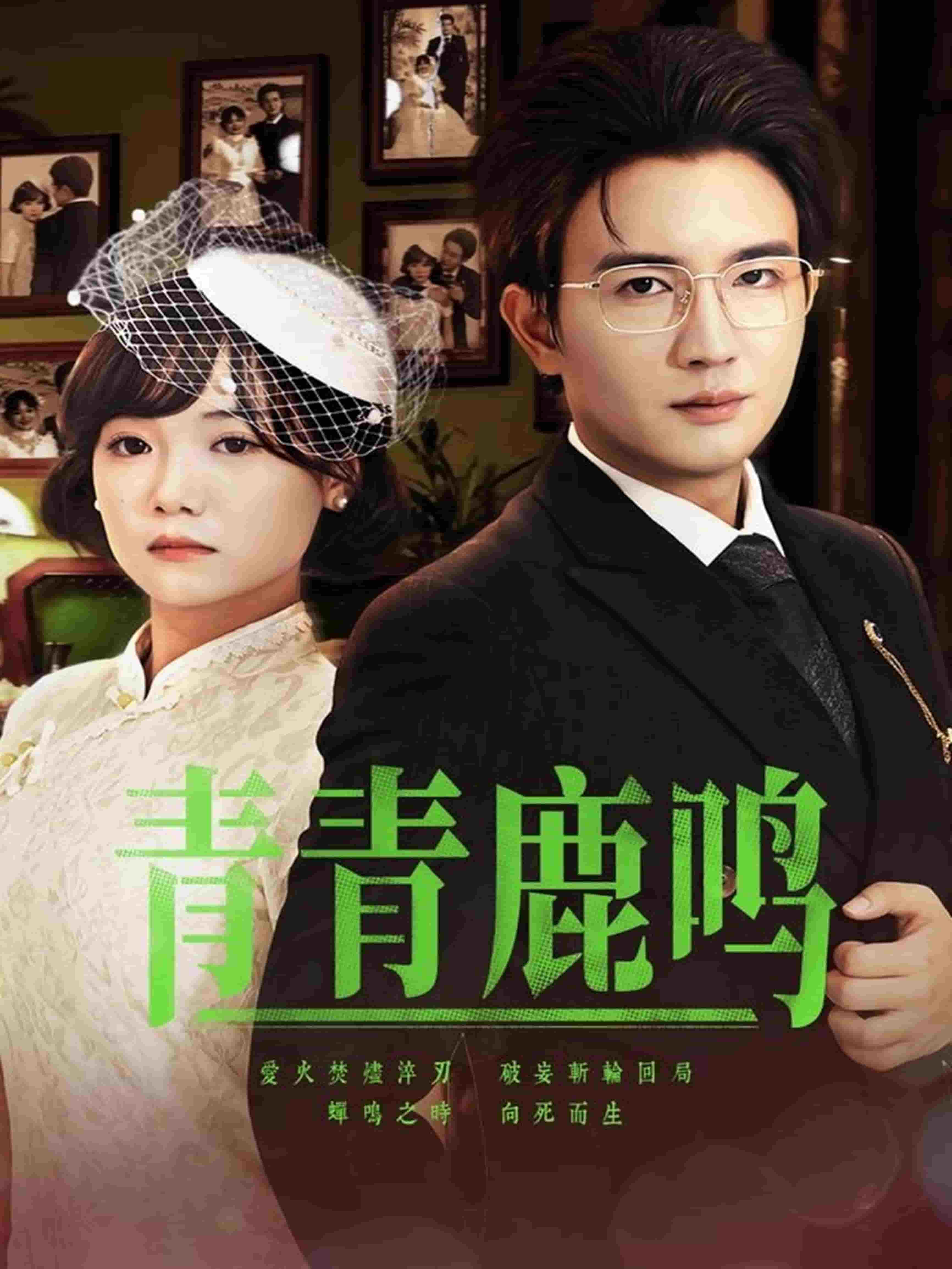青青鹿鸣 第32集
