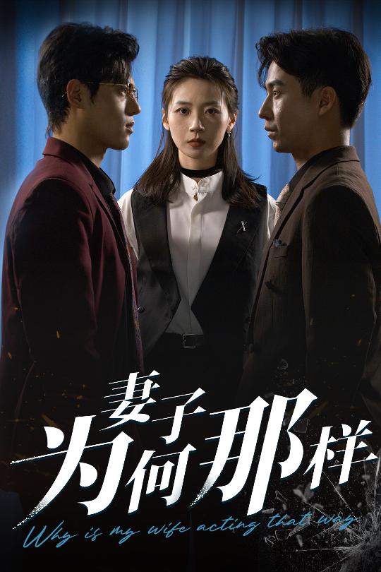 妻子为何那样 第04集