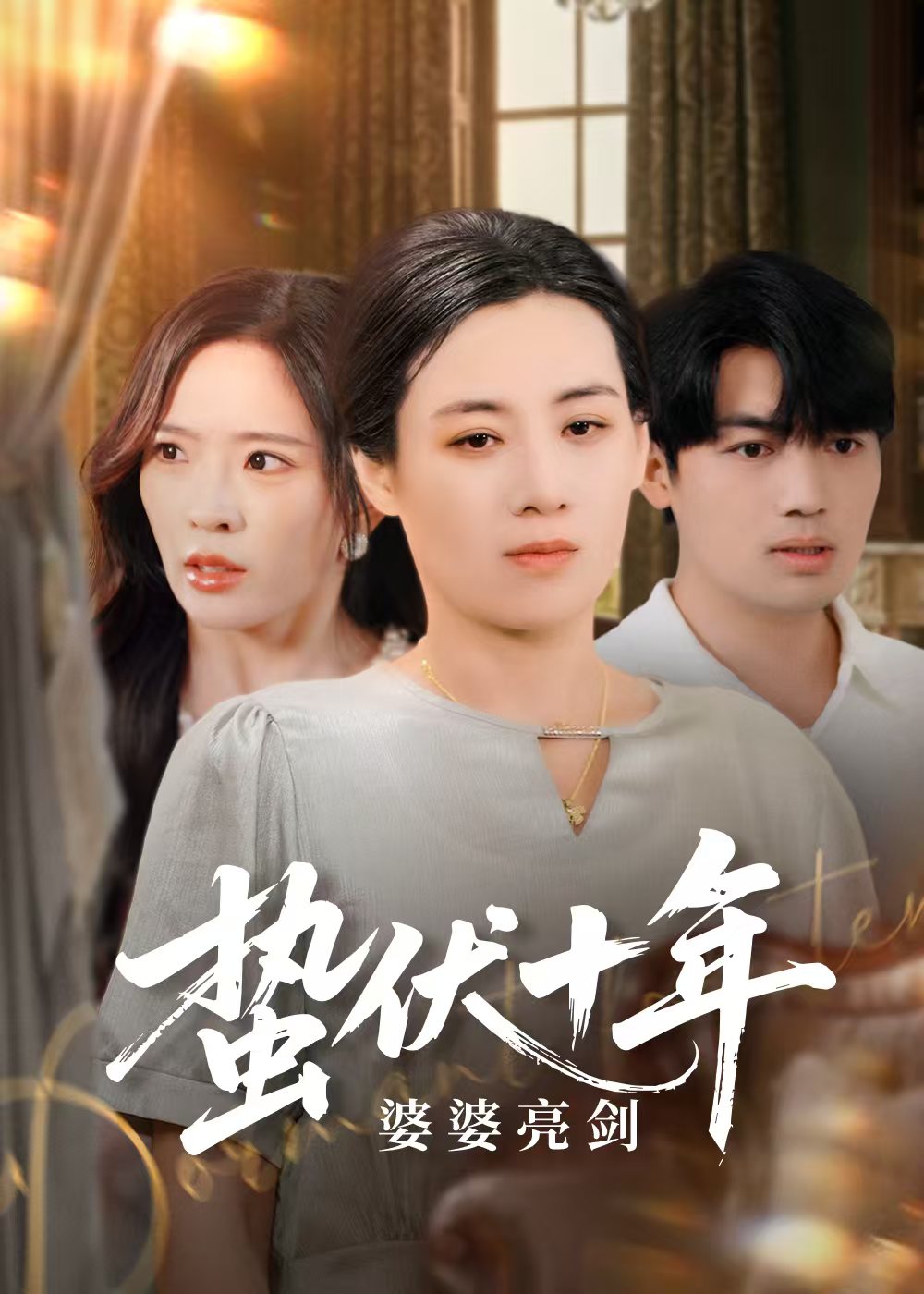 蛰伏十年婆婆亮剑 第01集