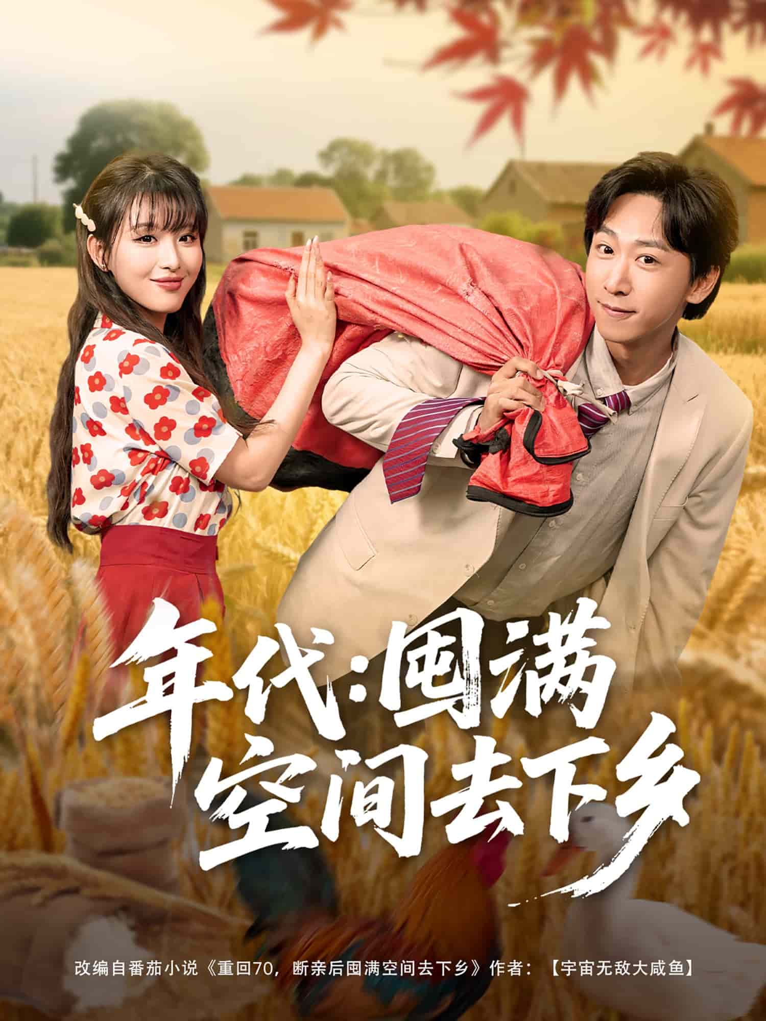 年代囤满空间去下乡 第01集