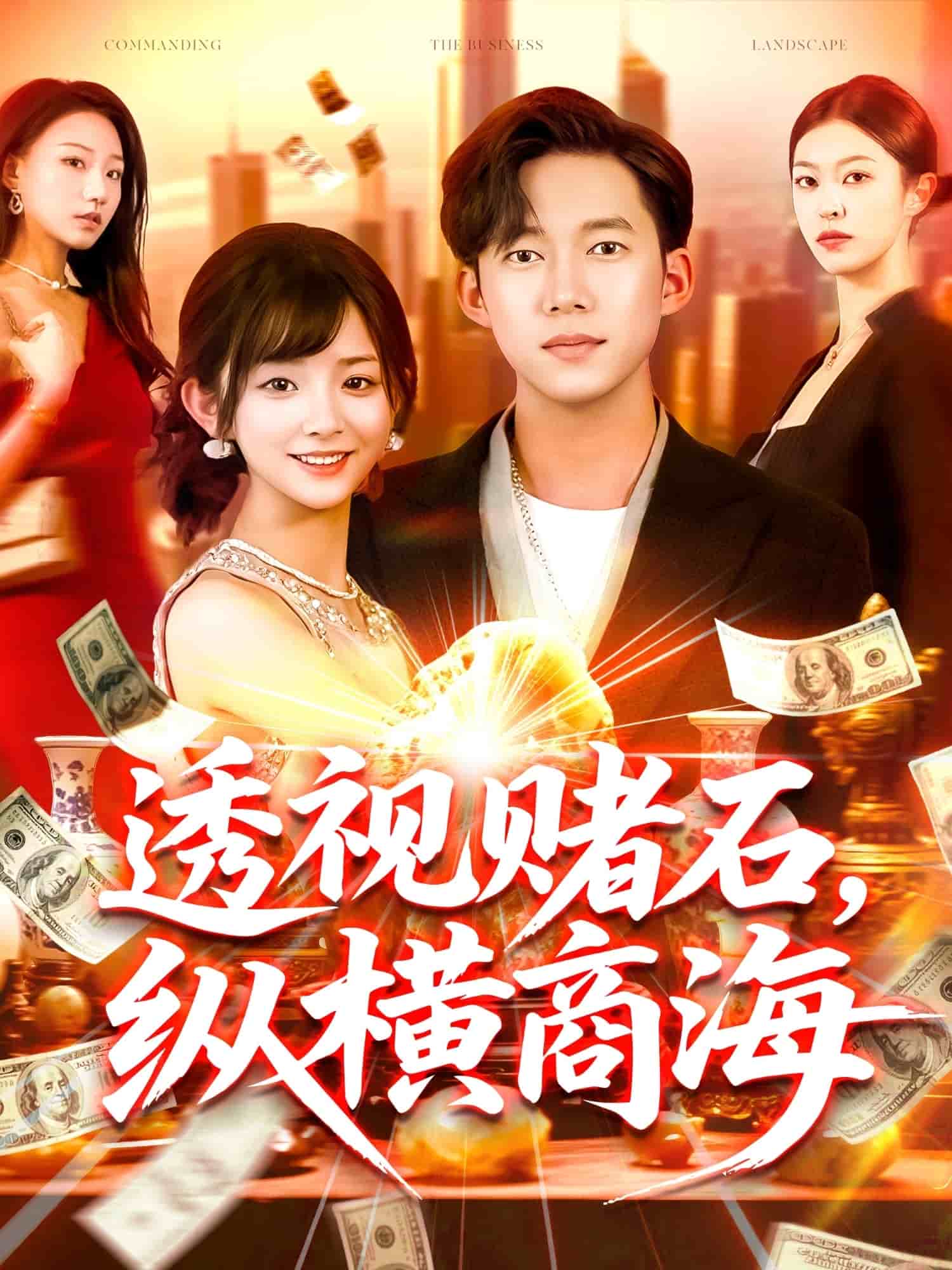 透视赌石，纵横商海 第9集