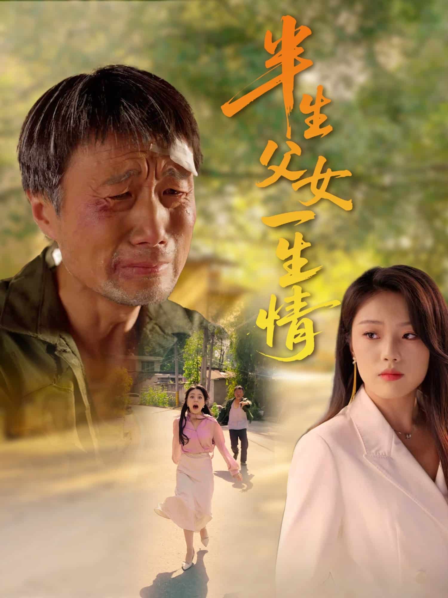 半生父女一生情 第41集