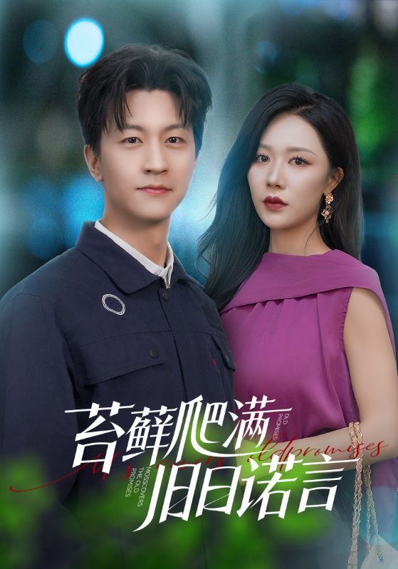 苔藓爬满旧日诺言 第1集