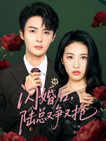 闪婚后陆总又争又抢 第01集