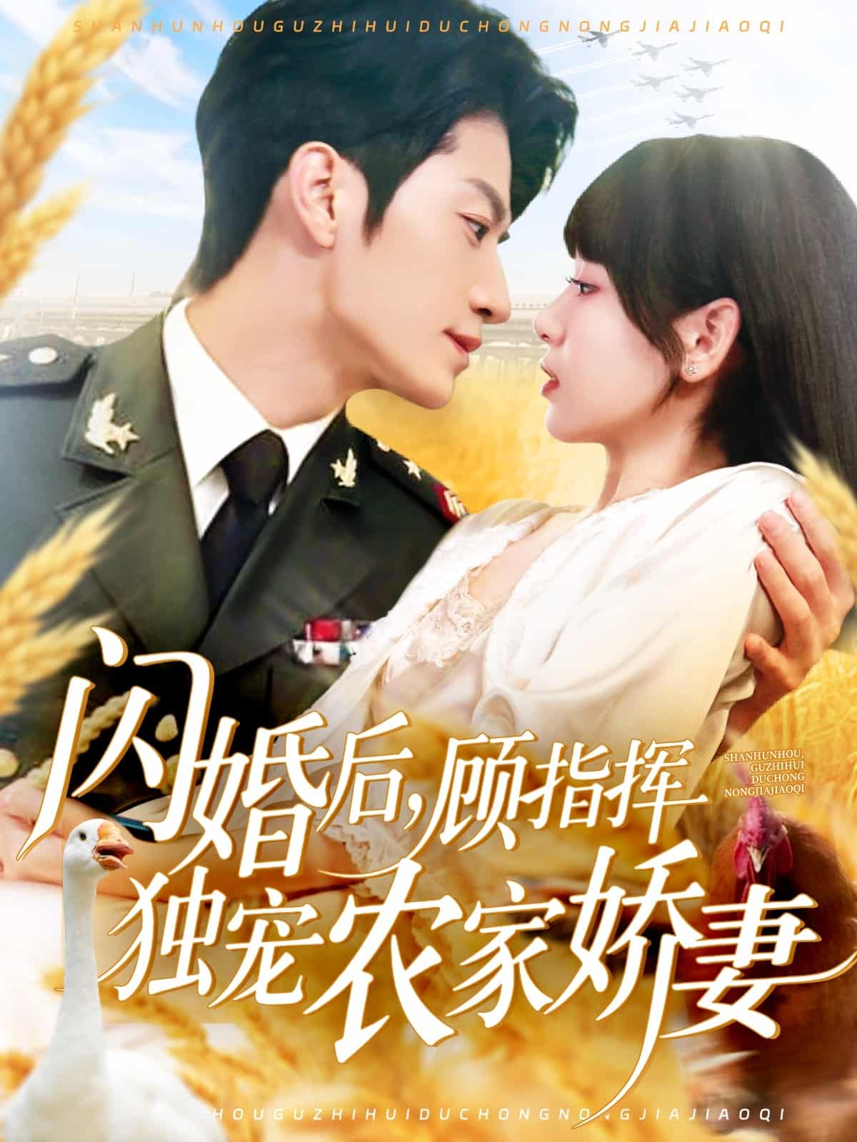 闪婚后顾指挥独宠农家娇妻 第01集