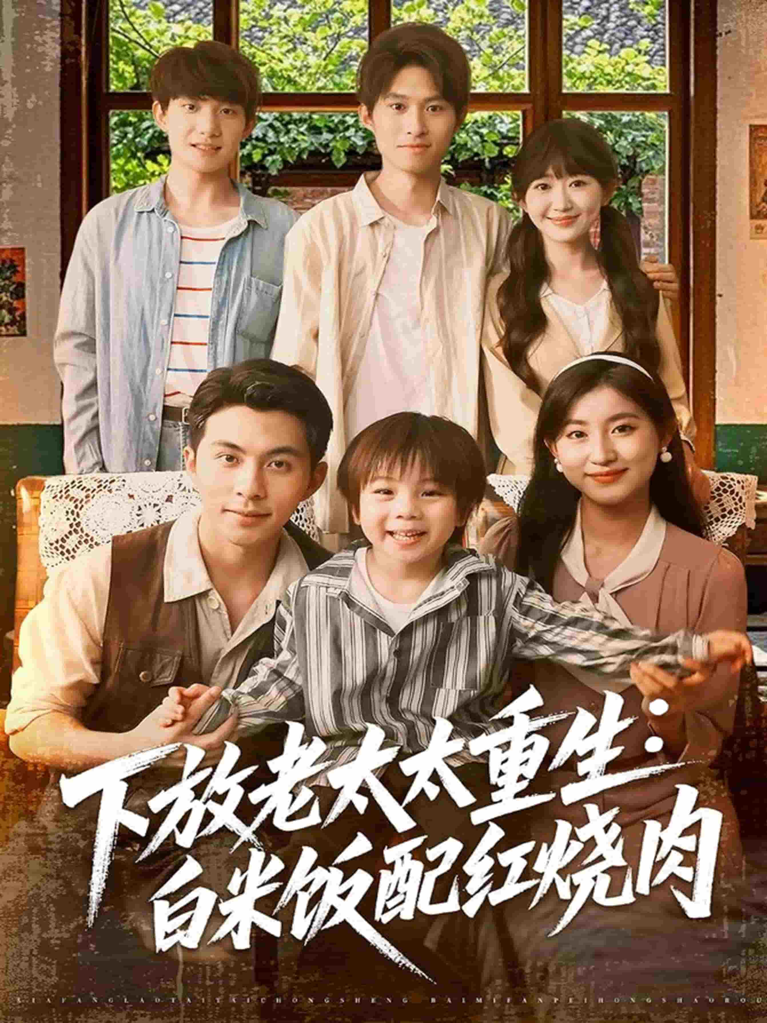 下放老太太重生白米饭配红烧肉 第78集