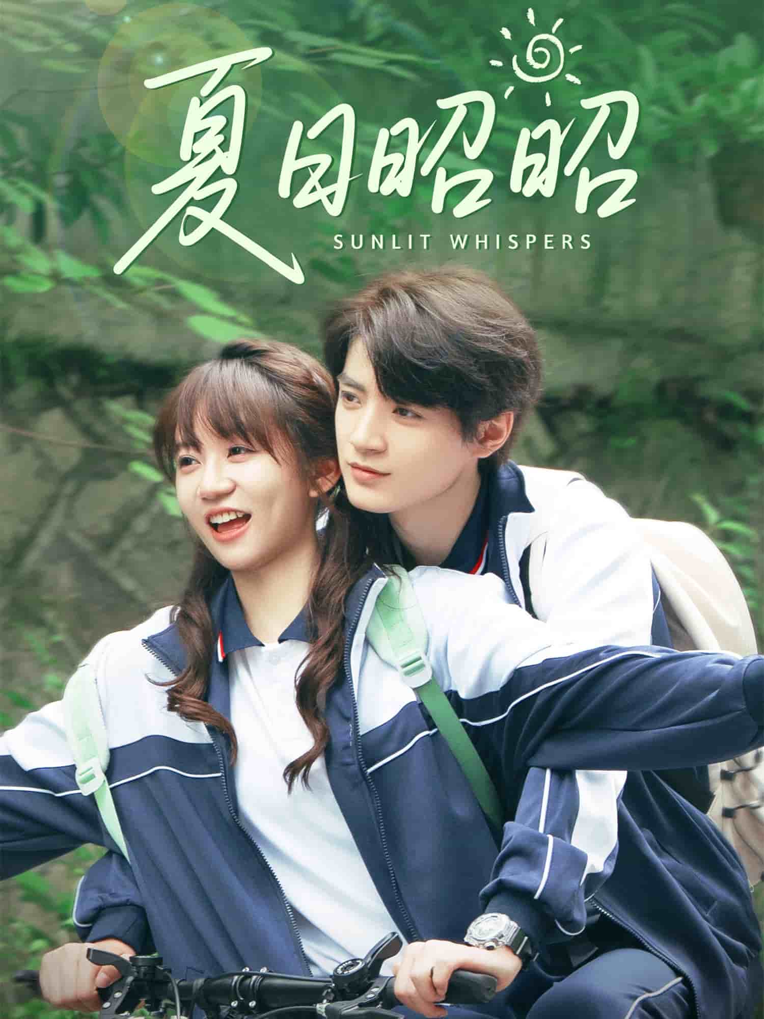 夏日昭昭 第27集