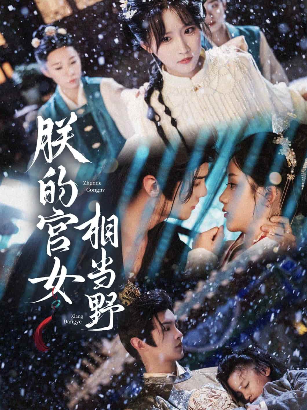 朕的宫女相当野 第01集