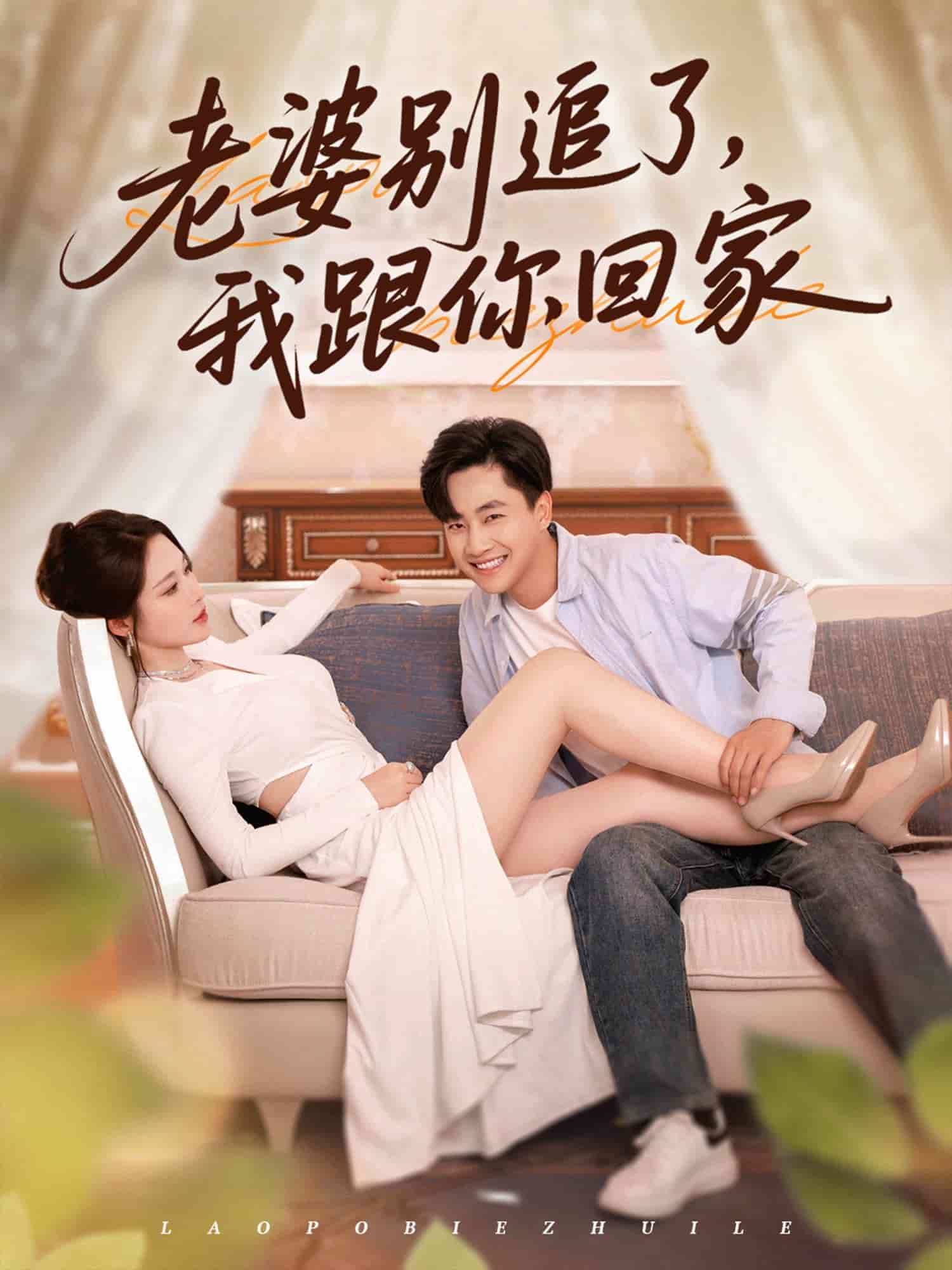 老婆别追了我跟你回家 第01集