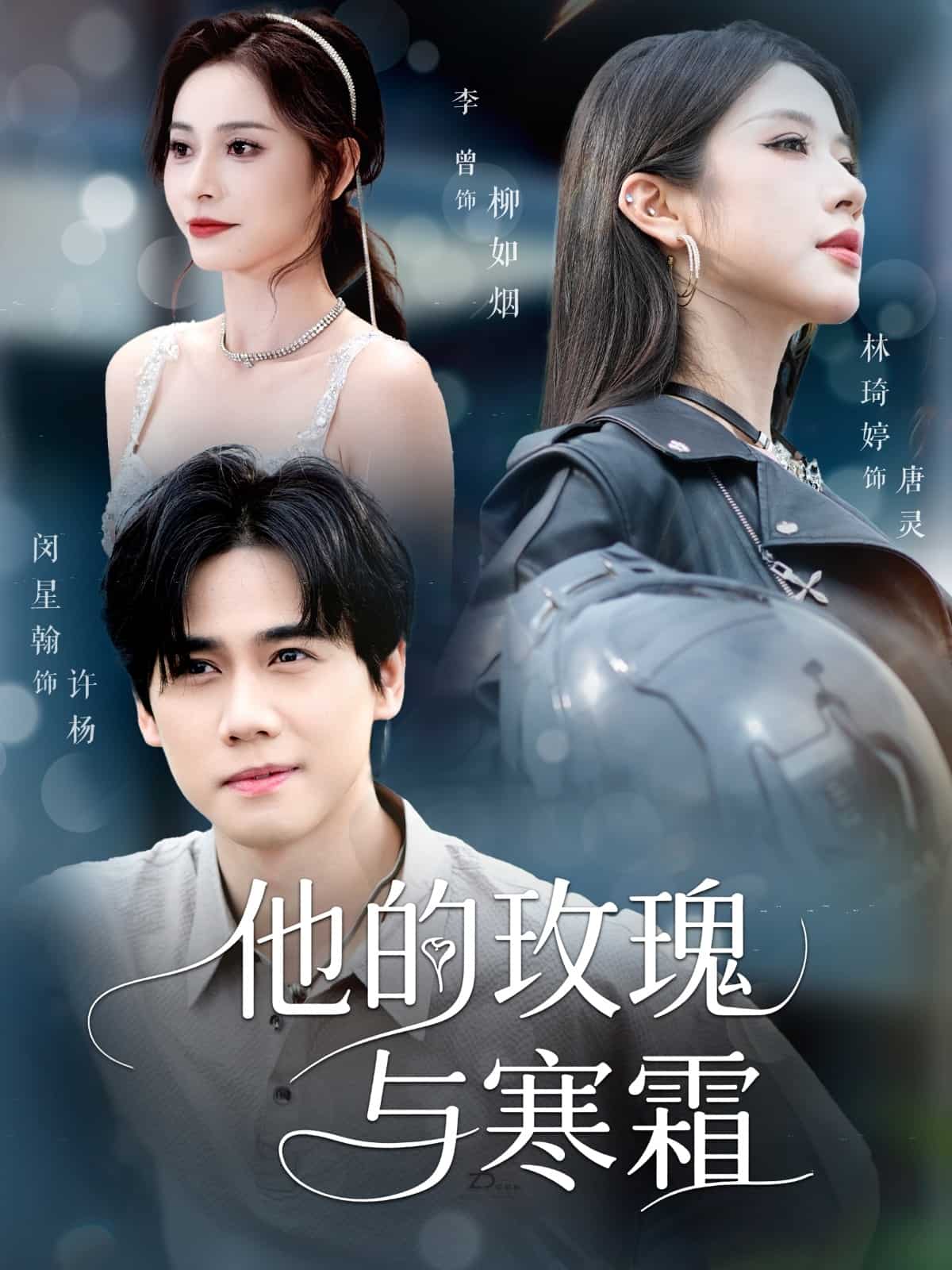 他的玫瑰与寒霜 第34集