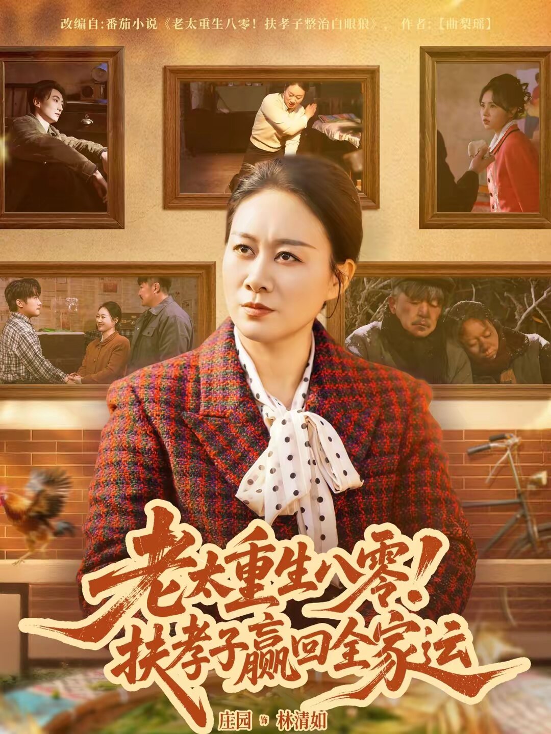 老太重生八零！扶孝子赢回全家运 第01集