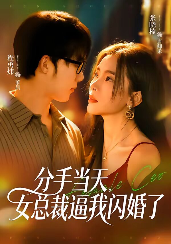 分手当天，女总裁逼我闪婚了 第03集