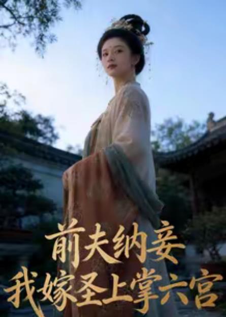 前夫纳妾，我嫁圣上掌六宫 第01集