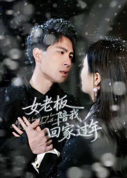 女老板陪我回家过年 第01集