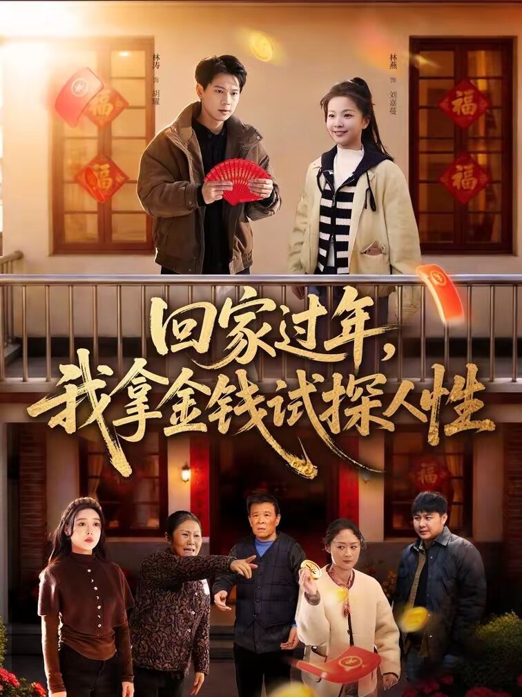 回家过年，我拿金钱试探人性 第065集