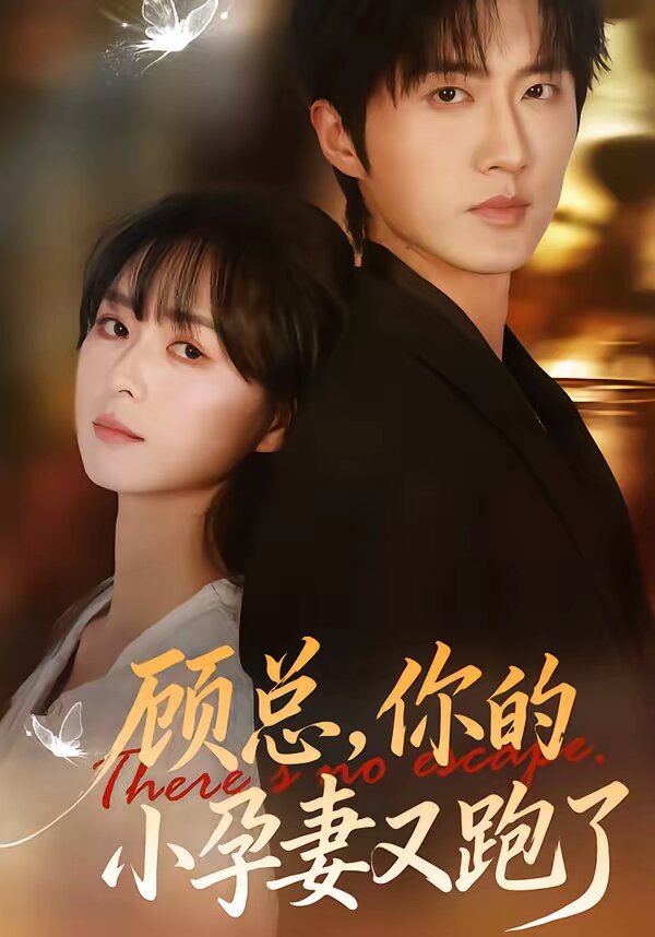 顾总，你的小孕妻又跑了 第22集