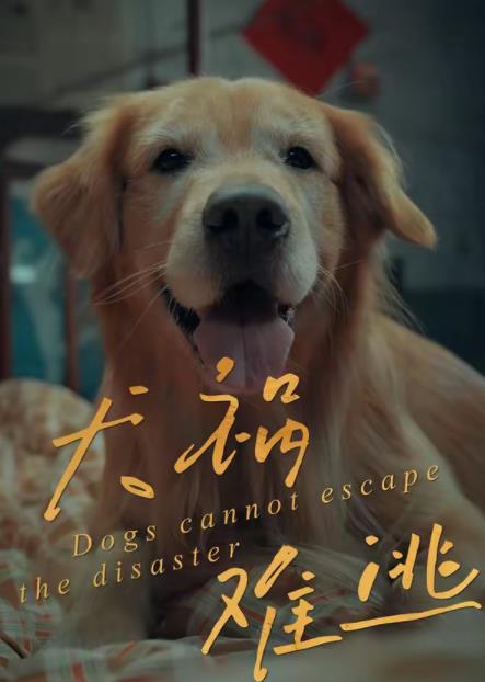 犬祸难逃 第02集