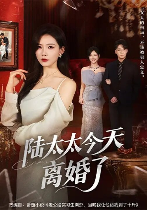 陆太太今天离婚了 第20集