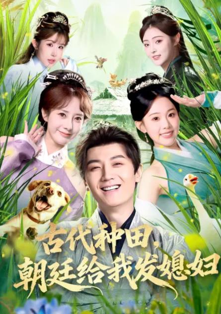 古代种田，朝廷给我发媳妇 第01集