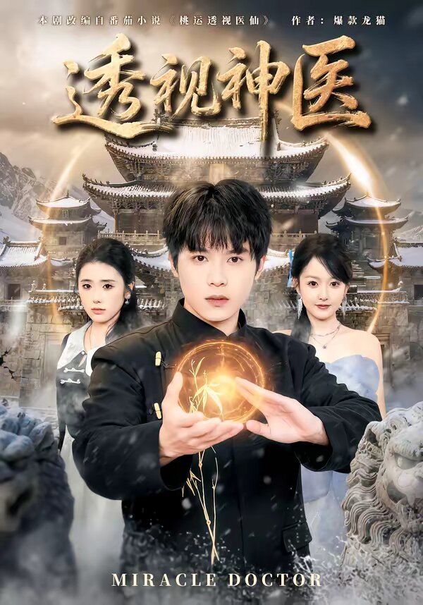 透视神医 第69集