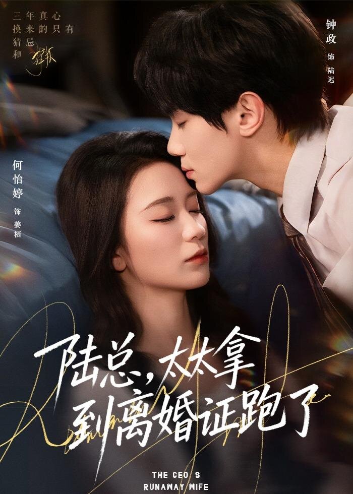陆总，太太拿到离婚证跑了 第01集