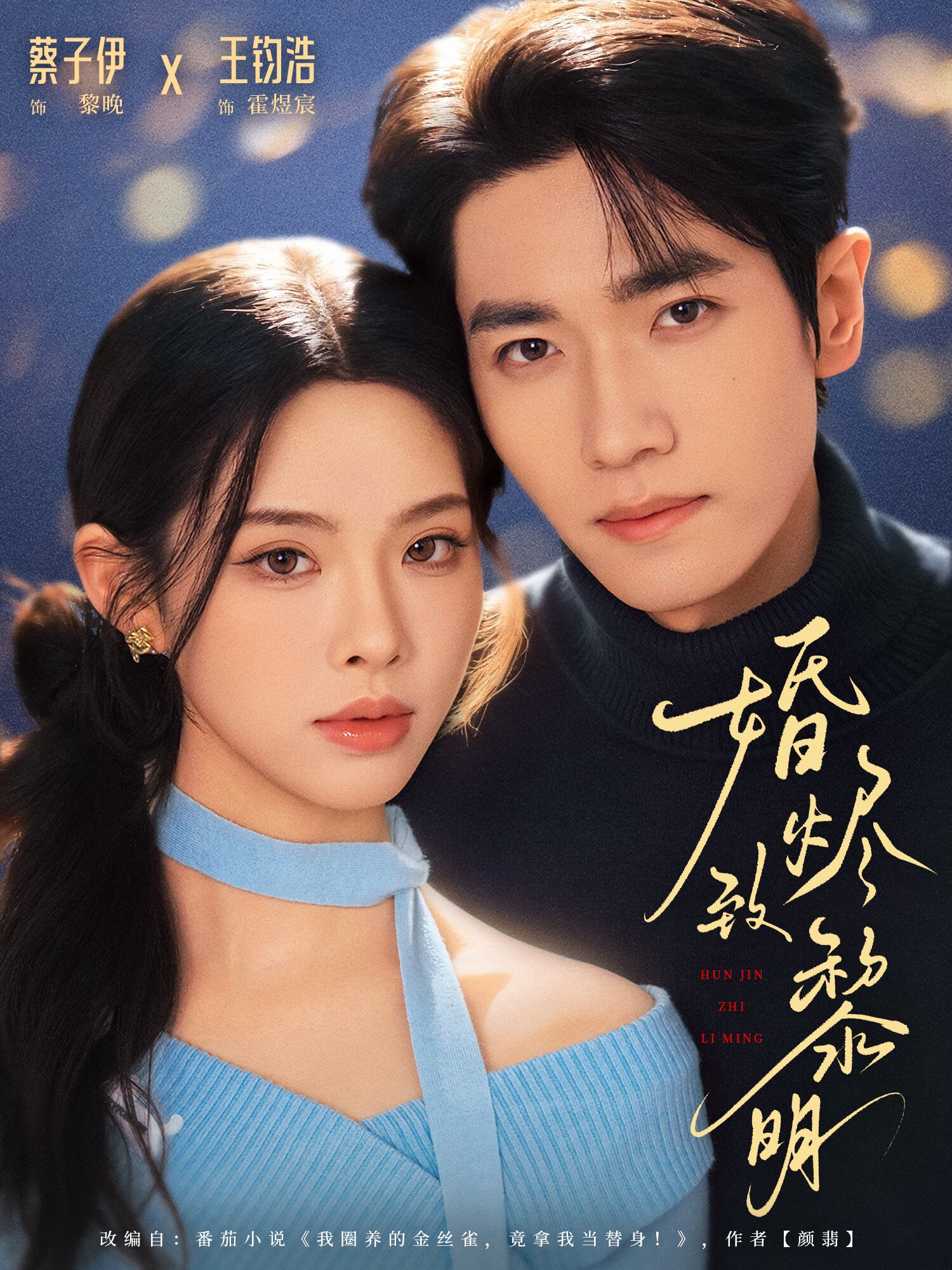 婚烬致黎明 第65集