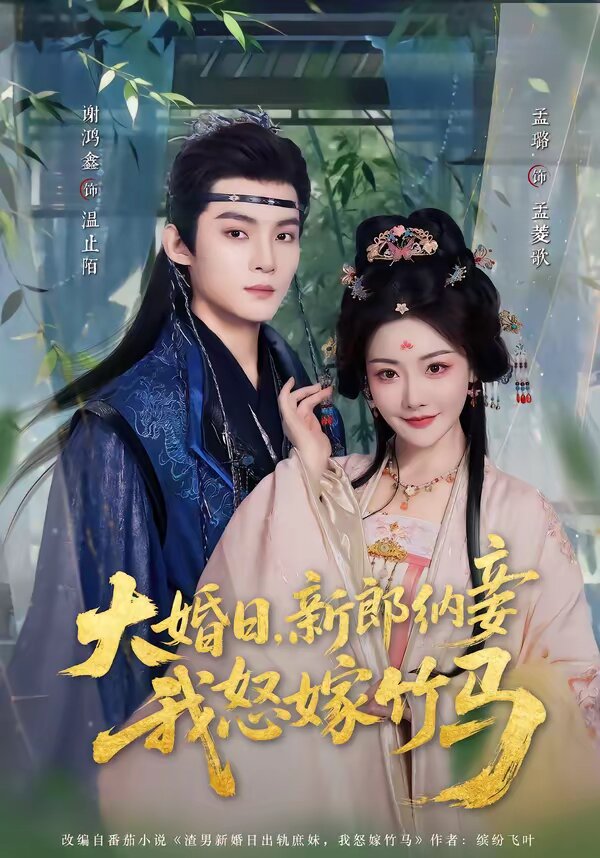 大婚日，新郎纳妾我怒嫁竹马 第28集