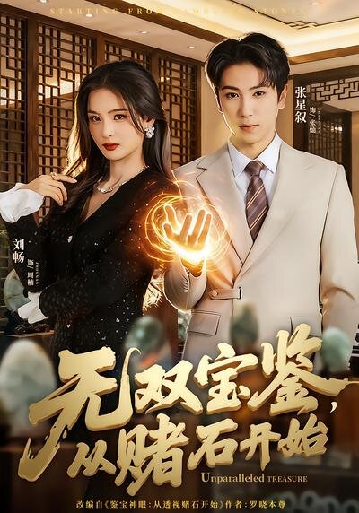 无双宝鉴，从赌石开始 第01集