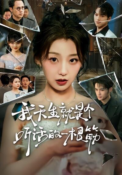 我天生就是个听话的一根筋 第01集