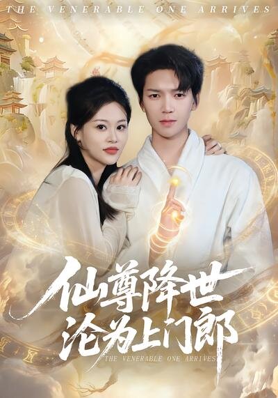 仙尊降世沦为上门郎 第65集