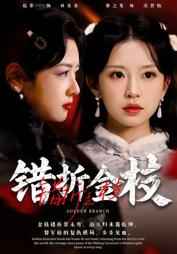 错折金枝 第09集