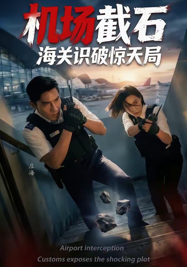 机场截石，海关识破惊天局 第29集