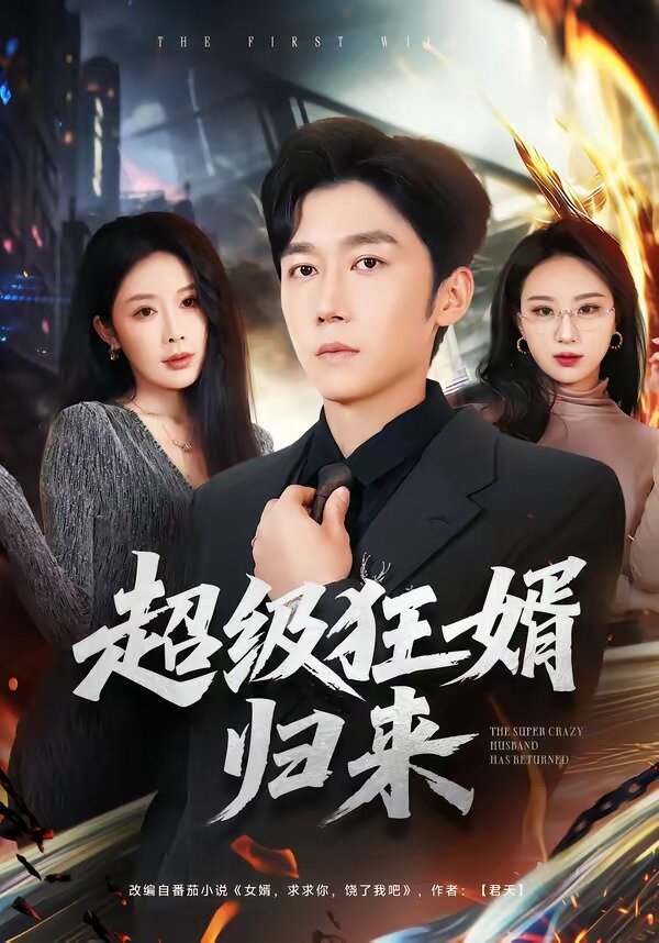 超级狂婿归来 第01集