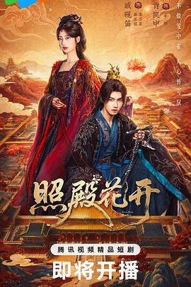 照殿花开 第01集